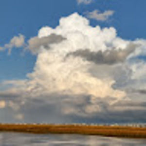 Meet your Posher, Ruth